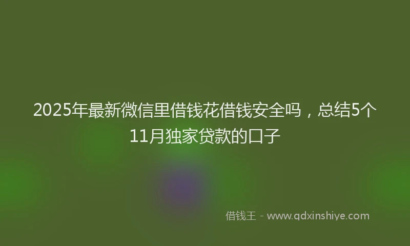 2025年最新微信里借钱花借钱安全吗，总结5个11月独家贷款的口子