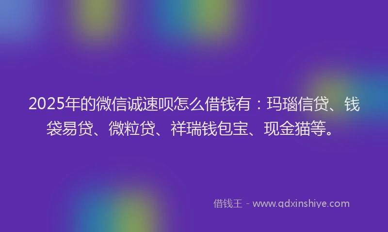 2025年的微信诚速呗怎么借钱有：玛瑙信贷、钱袋易贷、微粒贷、祥瑞钱包宝、现金猫等。