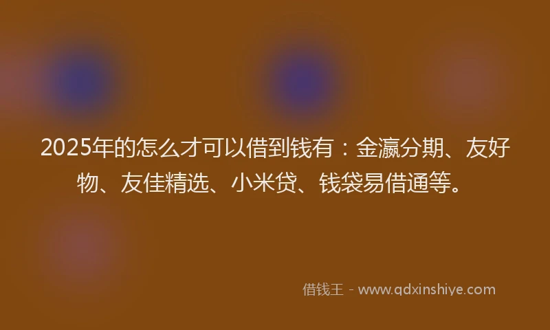 2025年的怎么才可以借到钱有：金瀛分期、友好物、友佳精选、小米贷、钱袋易借通等。