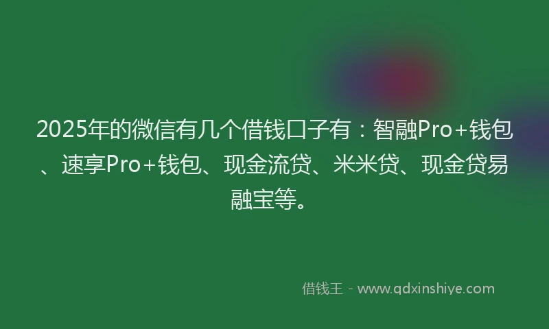 2025年的微信有几个借钱口子有：智融Pro+钱包、速享Pro+钱包、现金流贷、米米贷、现金贷易融宝等。