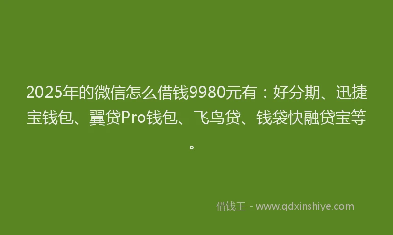 2025年的微信怎么借钱9980元有：好分期、迅捷宝钱包、翼贷Pro钱包、飞鸟贷、钱袋快融贷宝等。