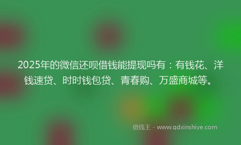 2025年的微信还呗借钱能提现吗有：有钱花、洋钱速贷、时时钱包贷、青春购、万盛商城等。