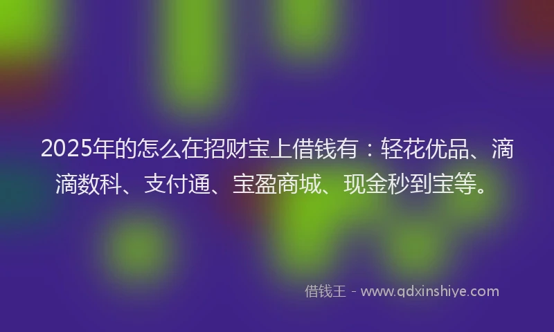 2025年的怎么在招财宝上借钱有：轻花优品、滴滴数科、支付通、宝盈商城、现金秒到宝等。
