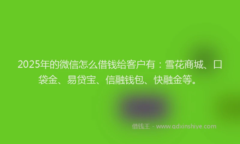 2025年的微信怎么借钱给客户有：雪花商城、口袋金、易贷宝、信融钱包、快融金等。