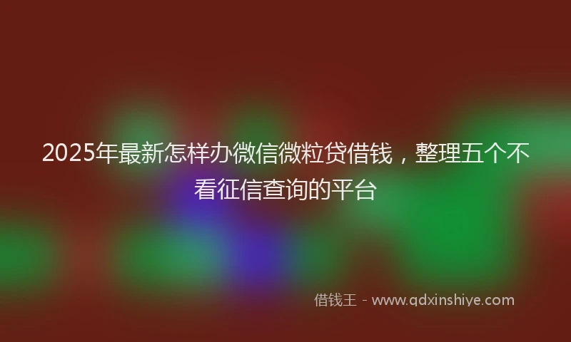 2025年最新怎样办微信微粒贷借钱，整理五个不看征信查询的平台