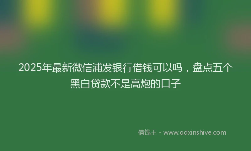 2025年最新微信浦发银行借钱可以吗，盘点五个黑白贷款不是高炮的口子