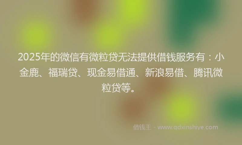 2025年的微信有微粒贷无法提供借钱服务有：小金鹿、福瑞贷、现金易借通、新浪易借、腾讯微粒贷等。