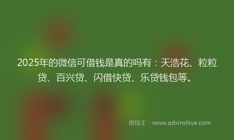 2025年的微信可借钱是真的吗有：天浩花、粒粒贷、百兴贷、闪借快贷、乐贷钱包等。