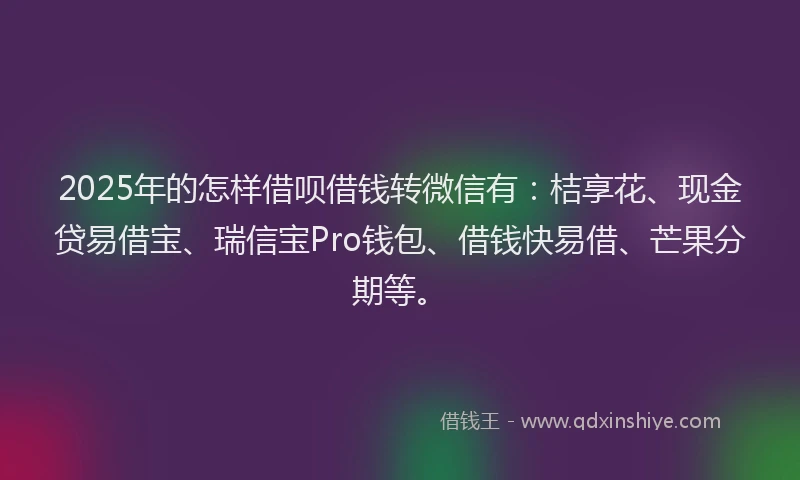 2025年的怎样借呗借钱转微信有：桔享花、现金贷易借宝、瑞信宝Pro钱包、借钱快易借、芒果分期等。