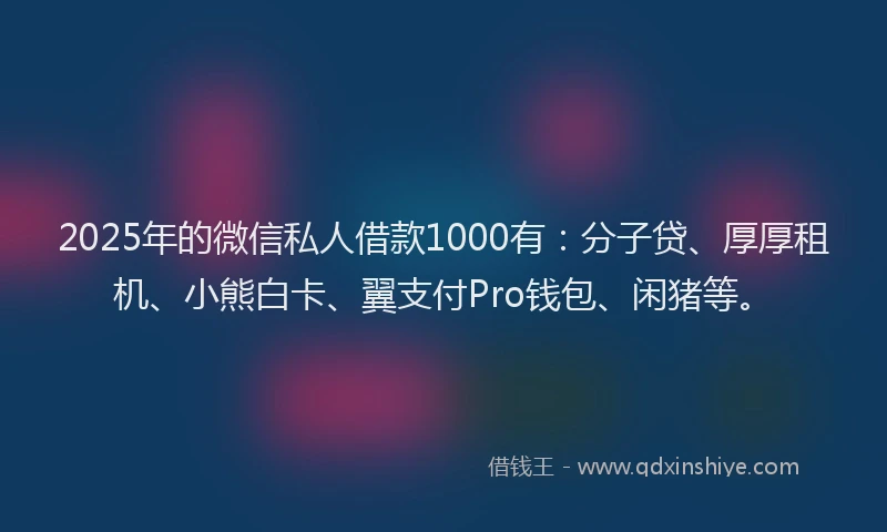 2025年的微信私人借款1000有：分子贷、厚厚租机、小熊白卡、翼支付Pro钱包、闲猪等。