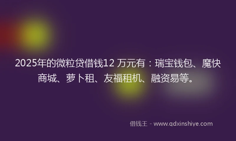 2025年的微粒贷借钱12 万元有：瑞宝钱包、魔快商城、萝卜租、友福租机、融资易等。