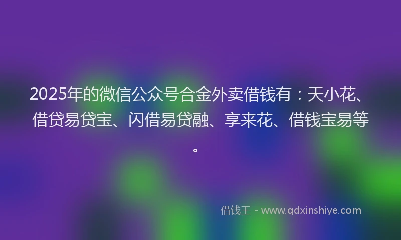 2025年的微信公众号合金外卖借钱有：天小花、借贷易贷宝、闪借易贷融、享来花、借钱宝易等。