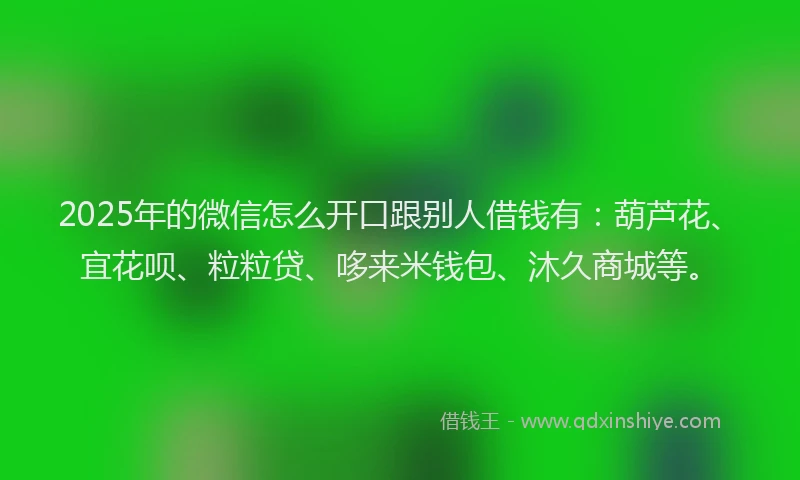 2025年的微信怎么开口跟别人借钱有：葫芦花、宜花呗、粒粒贷、哆来米钱包、沐久商城等。
