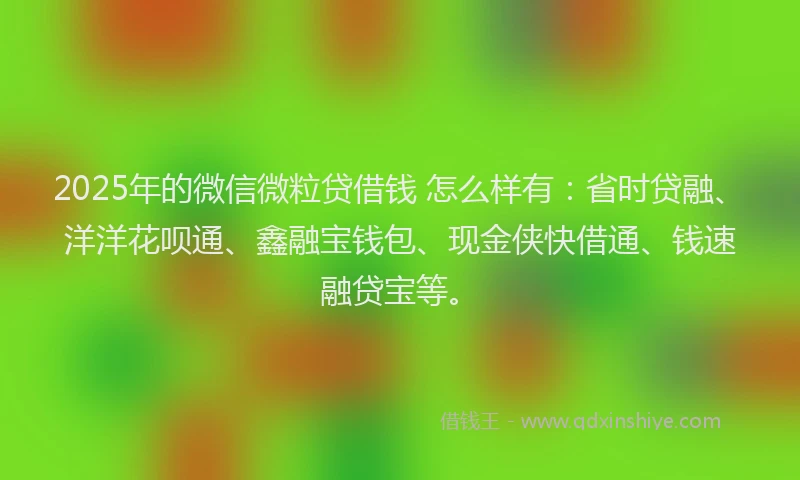 2025年的微信微粒贷借钱 怎么样有：省时贷融、洋洋花呗通、鑫融宝钱包、现金侠快借通、钱速融贷宝等。