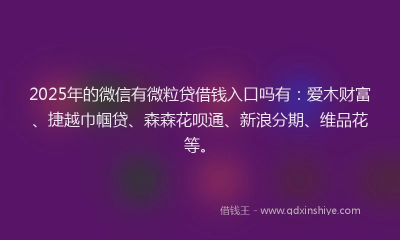 2025年的微信有微粒贷借钱入口吗有：爱木财富、捷越巾帼贷、森森花呗通、新浪分期、维品花等。