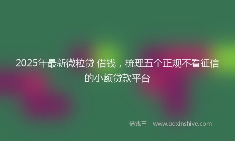 2025年最新微粒贷 借钱，梳理五个正规不看征信的小额贷款平台