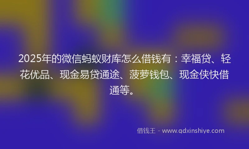2025年的微信蚂蚁财库怎么借钱有：幸福贷、轻花优品、现金易贷通途、菠萝钱包、现金侠快借通等。