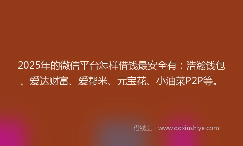2025年的微信平台怎样借钱最安全有：浩瀚钱包、爱达财富、爱帮米、元宝花、小油菜P2P等。