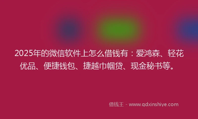 2025年的微信软件上怎么借钱有：爱鸿森、轻花优品、便捷钱包、捷越巾帼贷、现金秘书等。