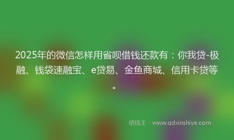 2025年的微信怎样用省呗借钱还款有：你我贷-极融、钱袋速融宝、e贷易、金鱼商城、信用卡贷等。