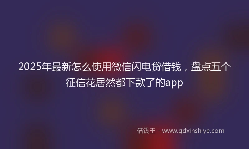 2025年最新怎么使用微信闪电贷借钱，盘点五个征信花居然都下款了的app