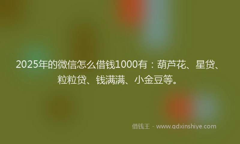 2025年的微信怎么借钱1000有：葫芦花、星贷、粒粒贷、钱满满、小金豆等。