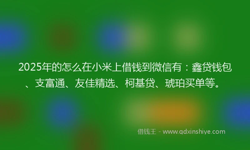 2025年的怎么在小米上借钱到微信有：鑫贷钱包、支富通、友佳精选、柯基贷、琥珀买单等。