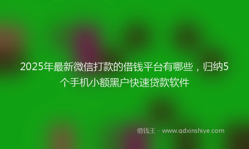 2025年最新微信打款的借钱平台有哪些，归纳5个手机小额黑户快速贷款软件