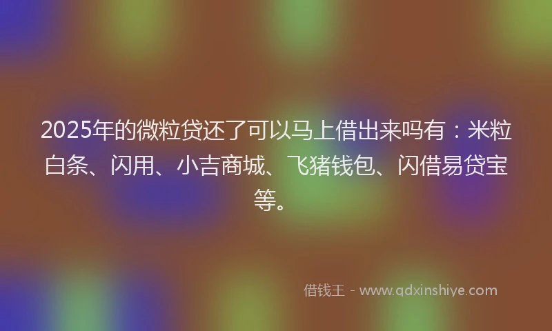 2025年的微粒贷还了可以马上借出来吗有：米粒白条、闪用、小吉商城、飞猪钱包、闪借易贷宝等。
