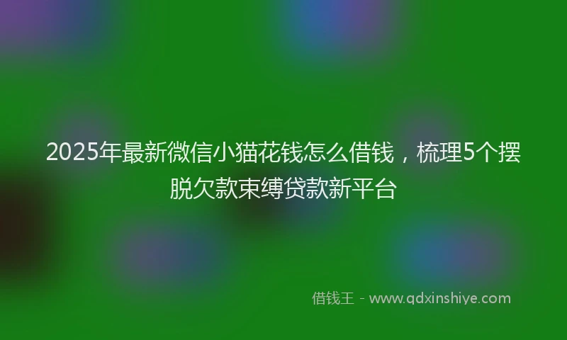 2025年最新微信小猫花钱怎么借钱，梳理5个摆脱欠款束缚贷款新平台