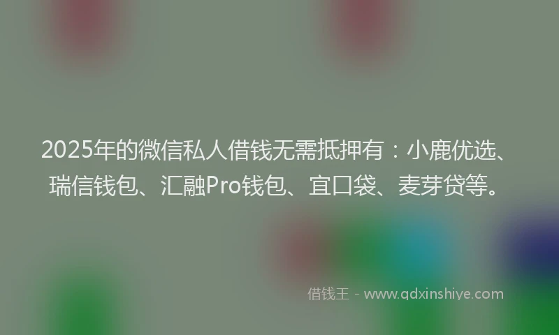 2025年的微信私人借钱无需抵押有：小鹿优选、瑞信钱包、汇融Pro钱包、宜口袋、麦芽贷等。