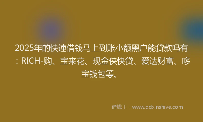 2025年的快速借钱马上到账小额黑户能贷款吗有：RICH-购、宝来花、现金侠快贷、爱达财富、哆宝钱包等。