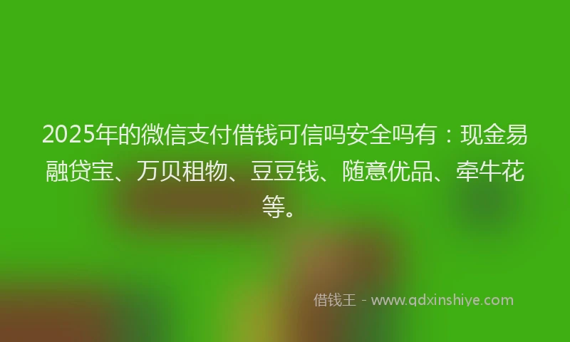2025年的微信支付借钱可信吗安全吗有：现金易融贷宝、万贝租物、豆豆钱、随意优品、牵牛花等。