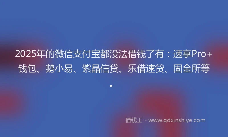 2025年的微信支付宝都没法借钱了有：速享Pro+钱包、鹅小易、紫晶信贷、乐借速贷、固金所等。