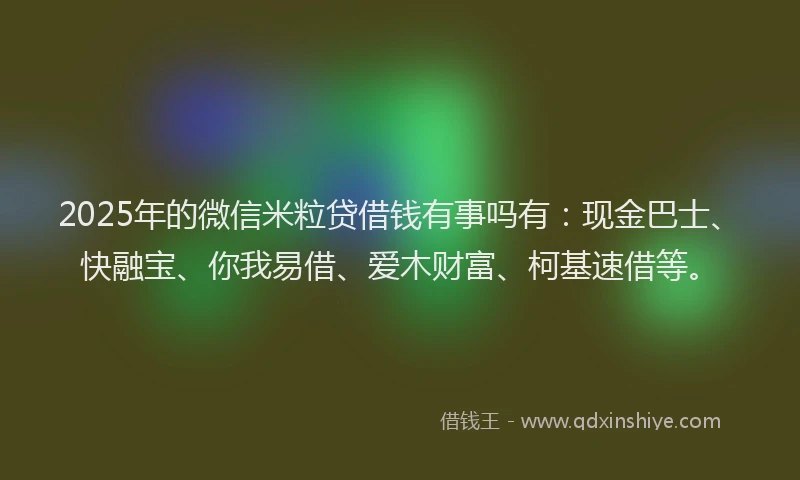 2025年的微信米粒贷借钱有事吗有：现金巴士、快融宝、你我易借、爱木财富、柯基速借等。