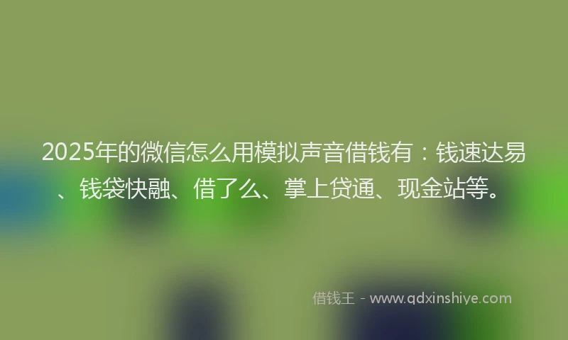2025年的微信怎么用模拟声音借钱有：钱速达易、钱袋快融、借了么、掌上贷通、现金站等。