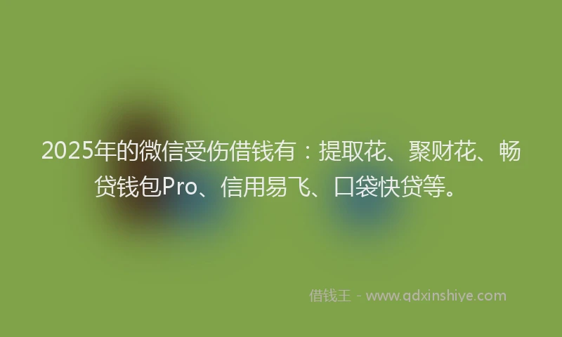 2025年的微信受伤借钱有：提取花、聚财花、畅贷钱包Pro、信用易飞、口袋快贷等。