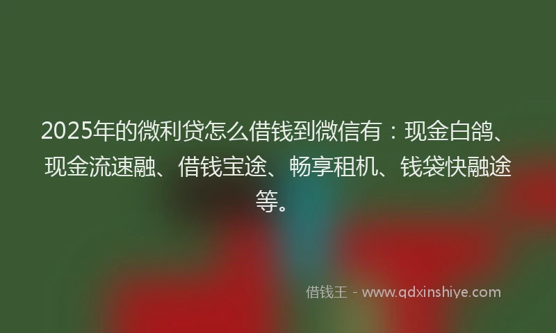 2025年的微利贷怎么借钱到微信有：现金白鸽、现金流速融、借钱宝途、畅享租机、钱袋快融途等。