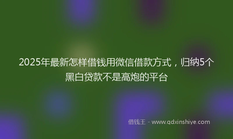 2025年最新怎样借钱用微信借款方式，归纳5个黑白贷款不是高炮的平台