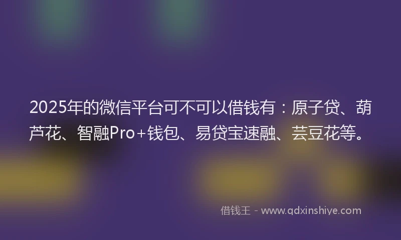 2025年的微信平台可不可以借钱有：原子贷、葫芦花、智融Pro+钱包、易贷宝速融、芸豆花等。