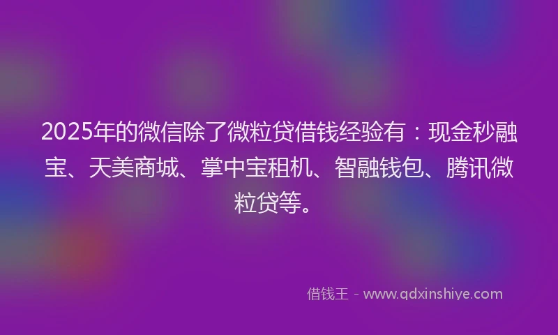 2025年的微信除了微粒贷借钱经验有：现金秒融宝、天美商城、掌中宝租机、智融钱包、腾讯微粒贷等。