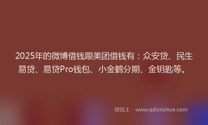 2025年的微博借钱跟美团借钱有：众安贷、民生易贷、易贷Pro钱包、小金鹤分期、金钥匙等。