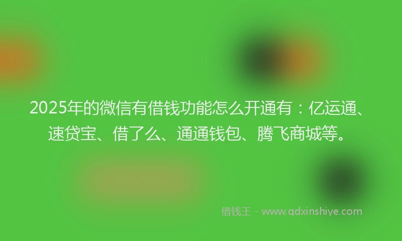 2025年的微信有借钱功能怎么开通有：亿运通、速贷宝、借了么、通通钱包、腾飞商城等。