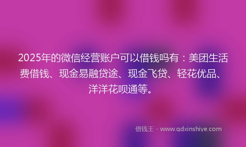 2025年的微信经营账户可以借钱吗有：美团生活费借钱、现金易融贷途、现金飞贷、轻花优品、洋洋花呗通等。