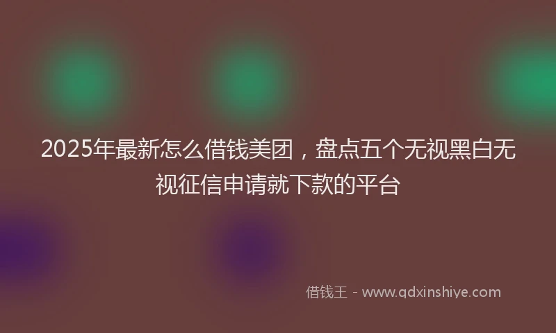 2025年最新怎么借钱美团，盘点五个无视黑白无视征信申请就下款的平台