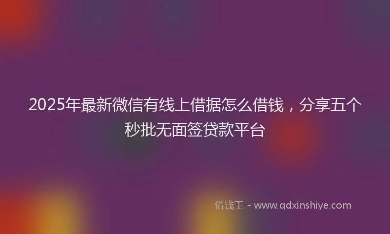 2025年最新微信有线上借据怎么借钱，分享五个秒批无面签贷款平台