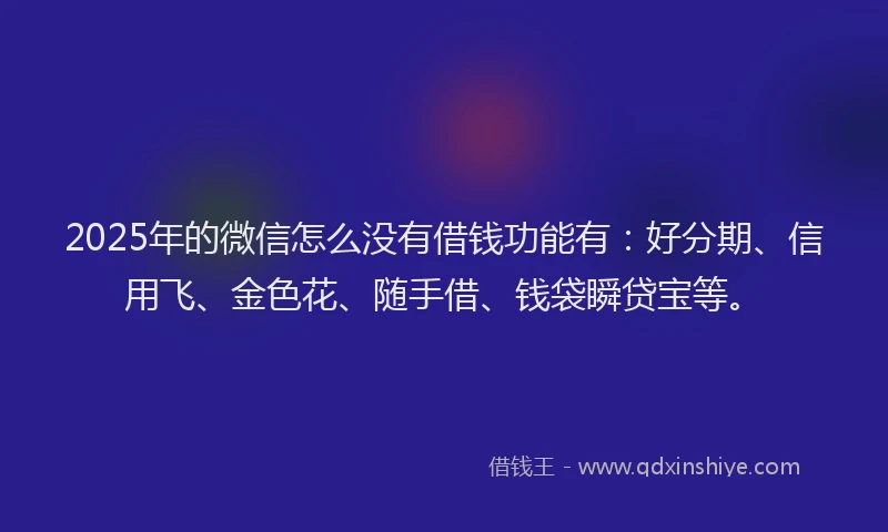 2025年的微信怎么没有借钱功能有：好分期、信用飞、金色花、随手借、钱袋瞬贷宝等。