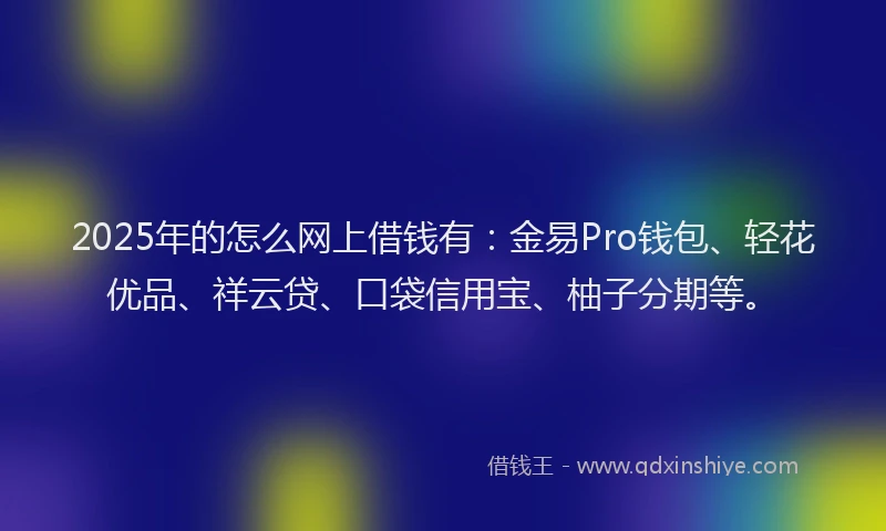 2025年的怎么网上借钱有：金易Pro钱包、轻花优品、祥云贷、口袋信用宝、柚子分期等。