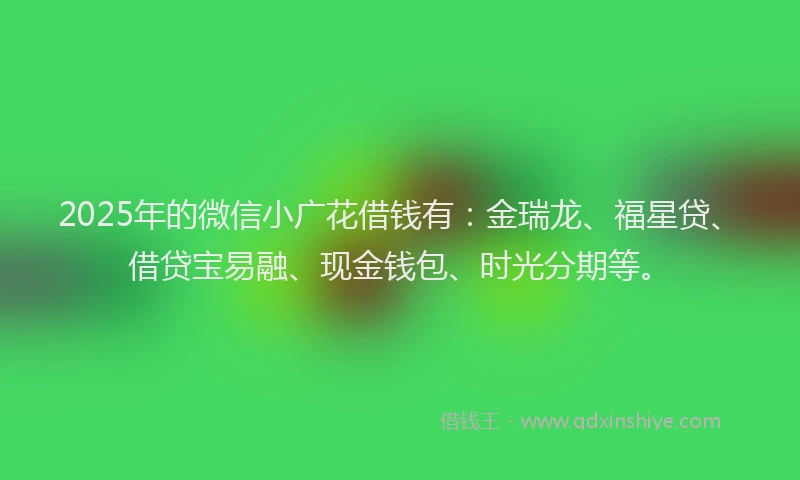 2025年的微信小广花借钱有：金瑞龙、福星贷、借贷宝易融、现金钱包、时光分期等。