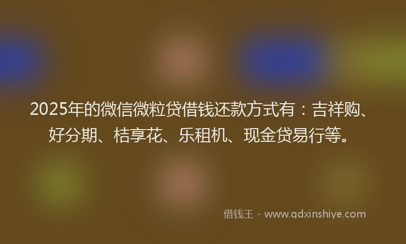 2025年的微信微粒贷借钱还款方式有：吉祥购、好分期、桔享花、乐租机、现金贷易行等。